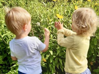 Børn, der kigger på blomster.